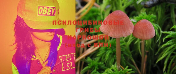 тгк Балахна